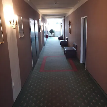 호텔 Parkhotel 크렘스안더다노